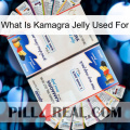 What Is Kamagra Jelly Used For kamagra1